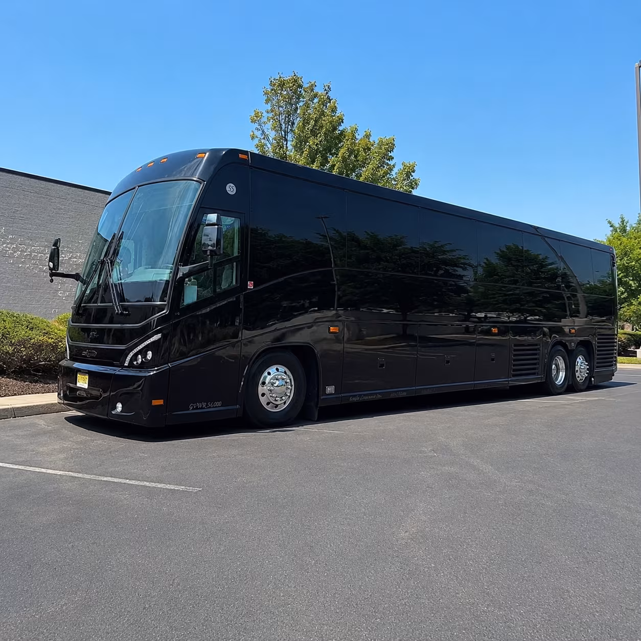 galveston cruise transfers and gulf coast group travel